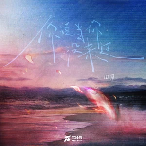 你说当你没来过(钢琴弹唱降调忧伤版)