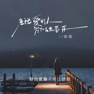 先说爱的人为什么先离开(DJ锋仔版伴奏)