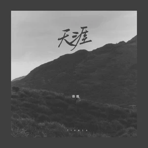 天涯(DJ豪大大版)