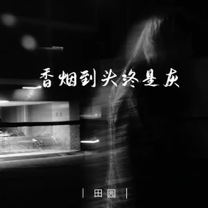 香烟到头终是灰(女版伴奏)
