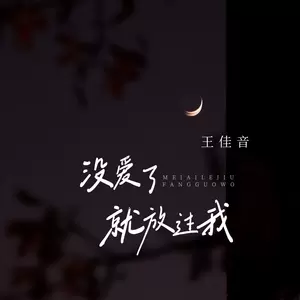 没爱了就放过我(伴奏)
