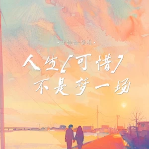 人生(可惜)不是梦一场
