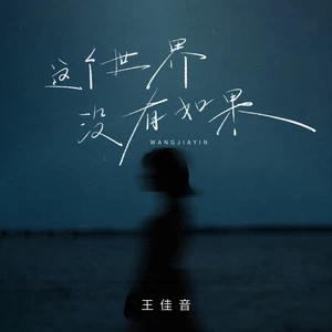 这个世界并没有如果(DJ九零版伴奏)