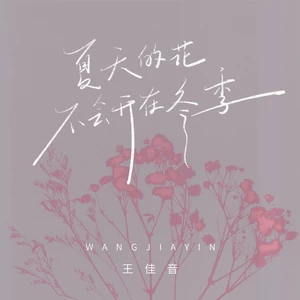夏天的花不会开在冬季(DJ九零版)