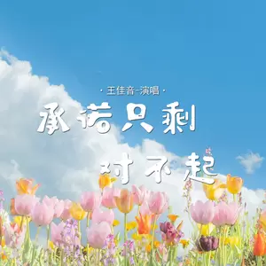 承诺只剩对不起