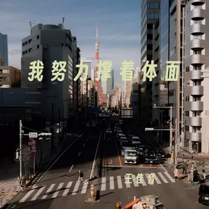 我努力撑着体面