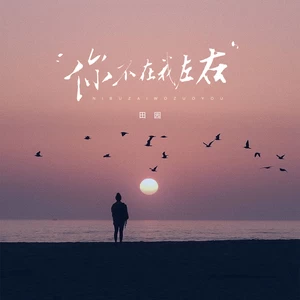 你不在我左右（心却被你左右）(伴奏)