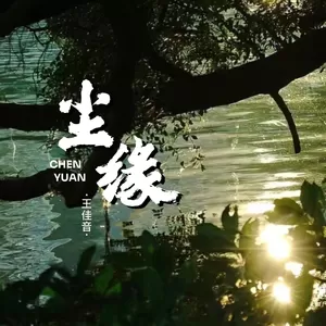 尘缘 (繁花落尽一身憔悴在风里)