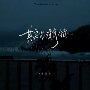 其实你没有错(伴奏)