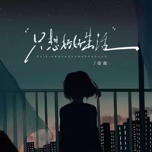 只想好好生活(伴奏)