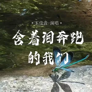 含着泪奔跑的我们(伴奏)-王佳音
