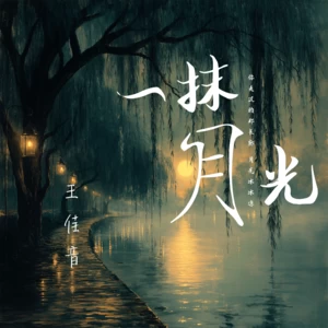 一抹月光(伴奏)-王佳音