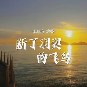 断了羽翼的飞鸟(Live合唱版)-王佳音
