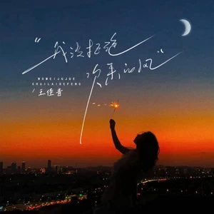 我没拒绝吹来的风(DJ版伴奏)-王佳音