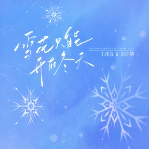 雪花只能开在冬天-王佳音/迟亦骁