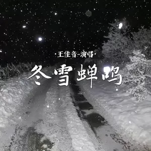 冬雪蝉鸣(伴奏)-王佳音