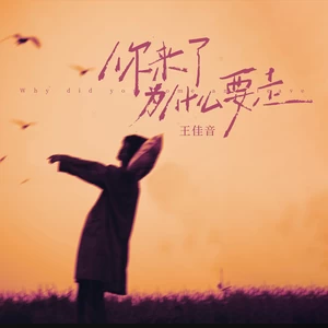 你来了为什么要走-王佳音