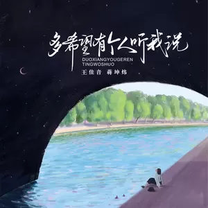 多希望有个人听我说-王佳音/蒋坤炜