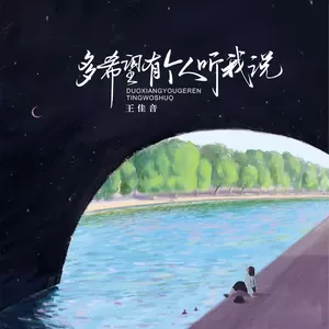 多希望有个人听我说-王佳音