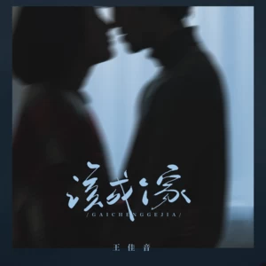 该成个家-王佳音