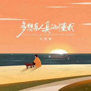 多想有人能真的懂我-王佳音