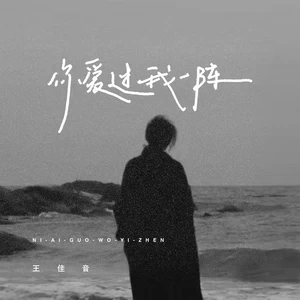 你爱过我一阵(伴奏)