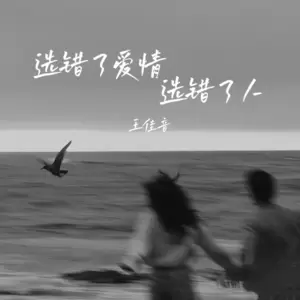 选错了爱情选错了人(伴奏)