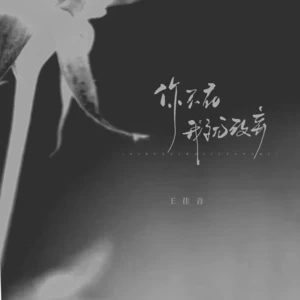 你不在意我就放弃(DJ德朋版伴奏)