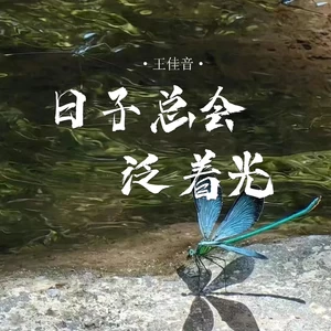 日子总会泛着光(伴奏)