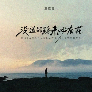 没选的路未必有花(伴奏)
