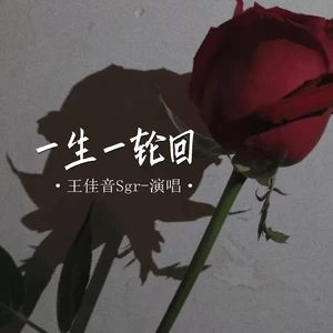 一生一轮回