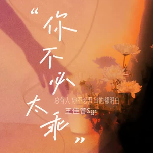 你不必太乖(伴奏)
