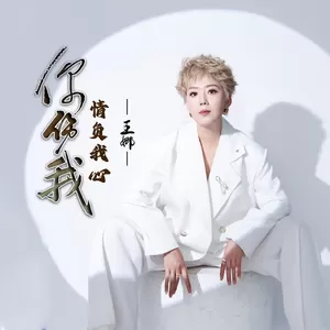 你伤我情负我心