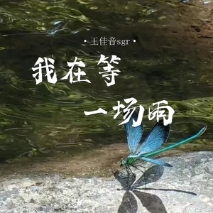 我在等一场雨(伴奏)