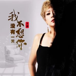 我没有一天不想你（DJ默涵版）(伴奏)