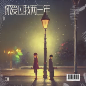 你爱过我两三年