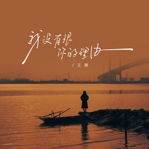 我没有恨你的理由(伴奏)