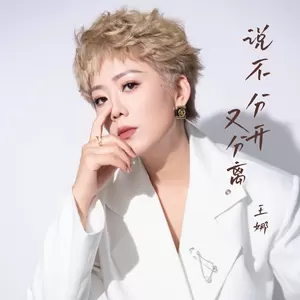 说不分开又离去(DJ浩然版)