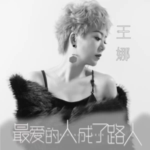 最爱的人成了路人(DJ九零版)