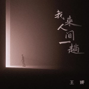 我来人间一趟