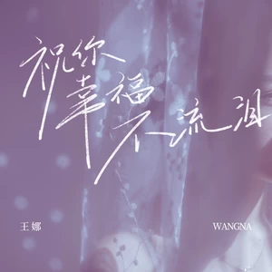 祝你幸福不流泪(伴奏)