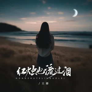 红烛也流过泪(伴奏)