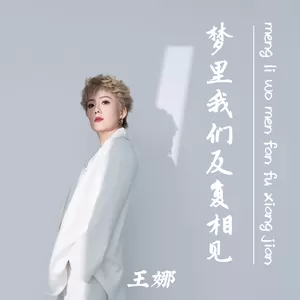 梦里我们反复相见(DJ豪大大版)