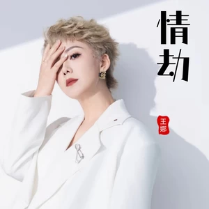 情劫-王娜