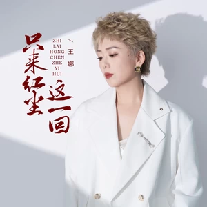 只来红尘这一回（DJBanan版）-王娜