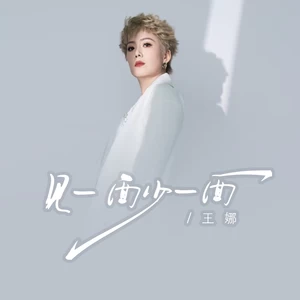 见一面少一面(思念版)-王娜