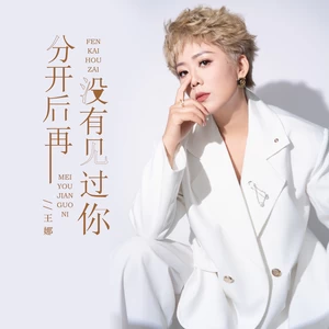 分开后再没有见过你(伴奏)-王娜