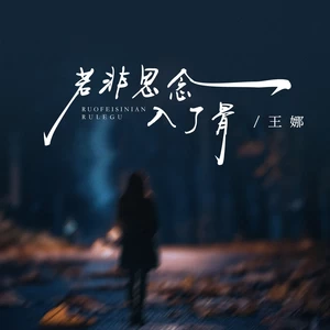 若非思念入了骨(伴奏)-王娜