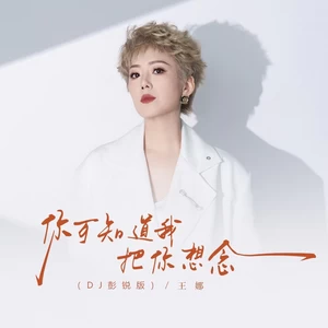 你可知道我还把你想念(DJ彭锐版伴奏)-王娜
