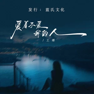 爱着不爱我的人（DJ蓝小龙版）(伴奏)-王娜